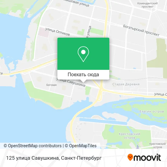 Карта 125 улица Савушкина
