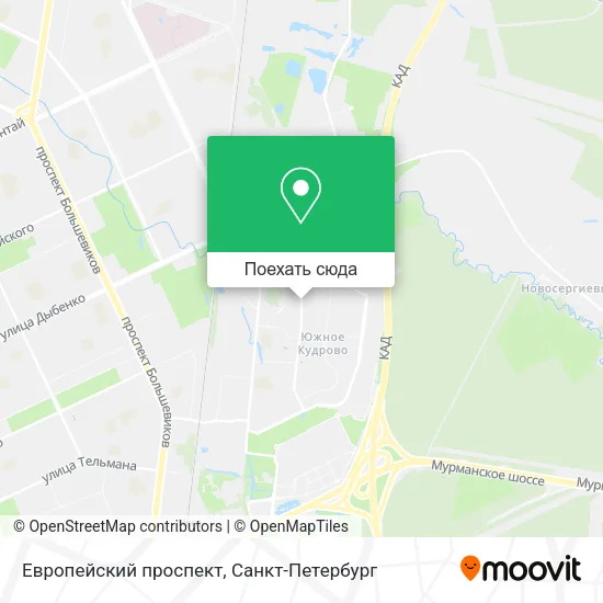 Карта Европейский проспект