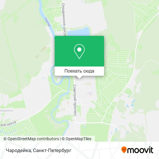 Карта Чародейка