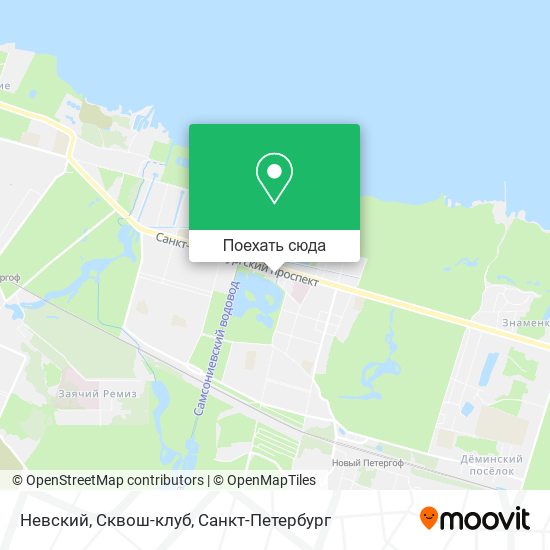 Карта Невский, Сквош-клуб