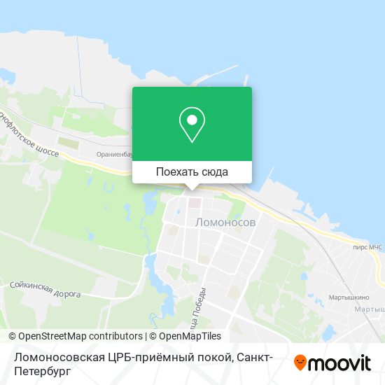 Карта Ломоносовская ЦРБ-приёмный покой