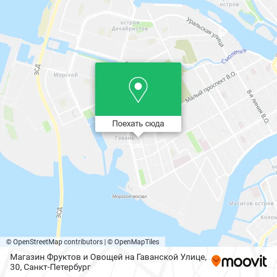 Карта Магазин Фруктов и Овощей на Гаванской Улице, 30