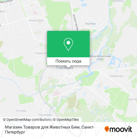 Карта Магазин Товаров для Животных Бим