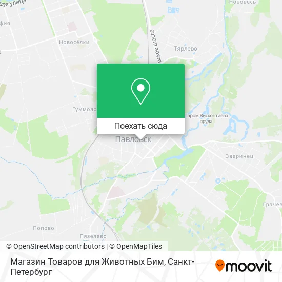 Карта Магазин Товаров для Животных Бим