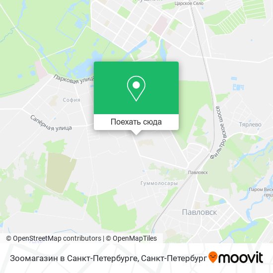 Карта Зоомагазин в Санкт-Петербурге