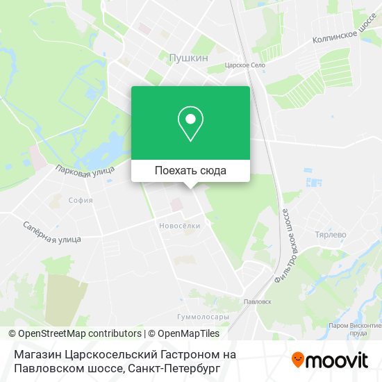 Карта Магазин Царскосельский Гастроном на Павловском шоссе