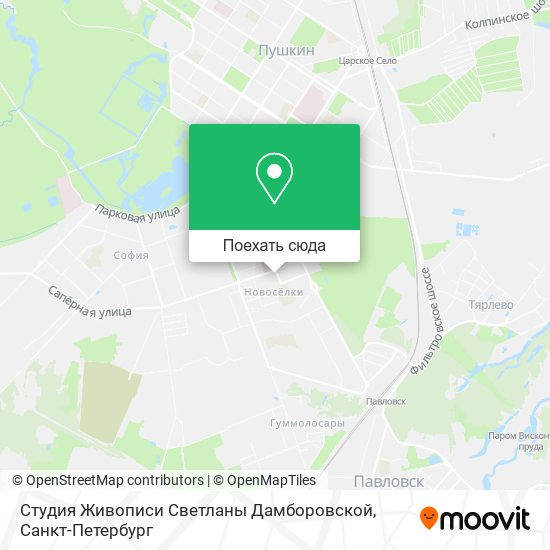 Карта Студия Живописи Светланы Дамборовской