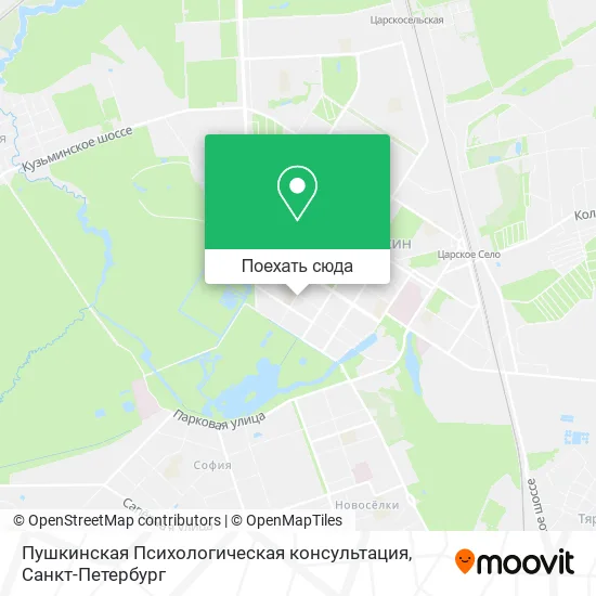 Карта Пушкинская Психологическая консультация