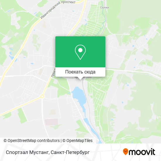 Карта Спортзал Мустанг