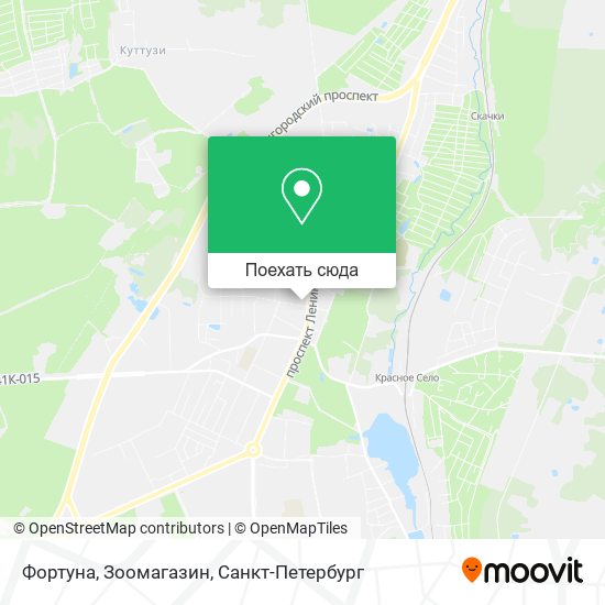 Карта Фортуна, Зоомагазин