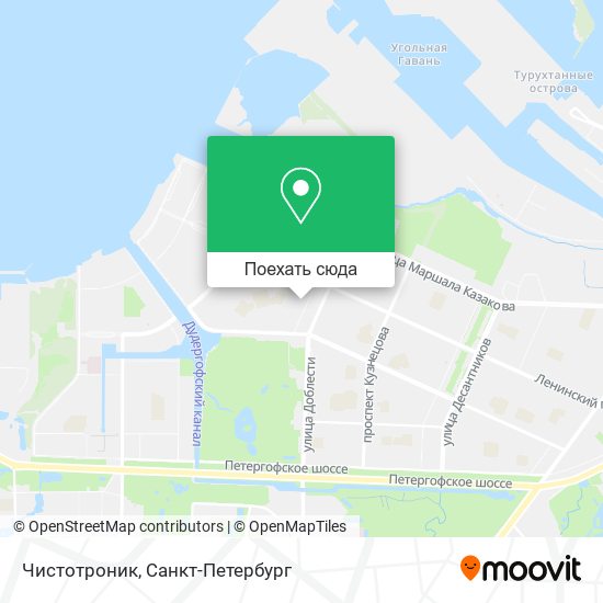Карта Чистотроник