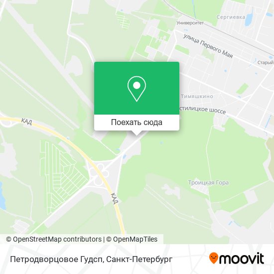 Карта Петродворцовое Гудсп