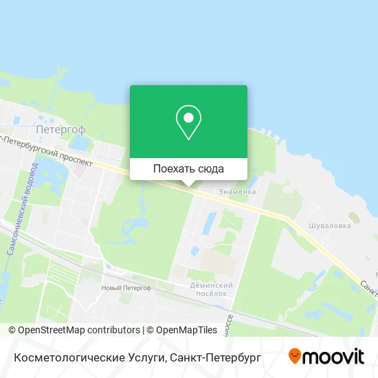 Карта Косметологические Услуги