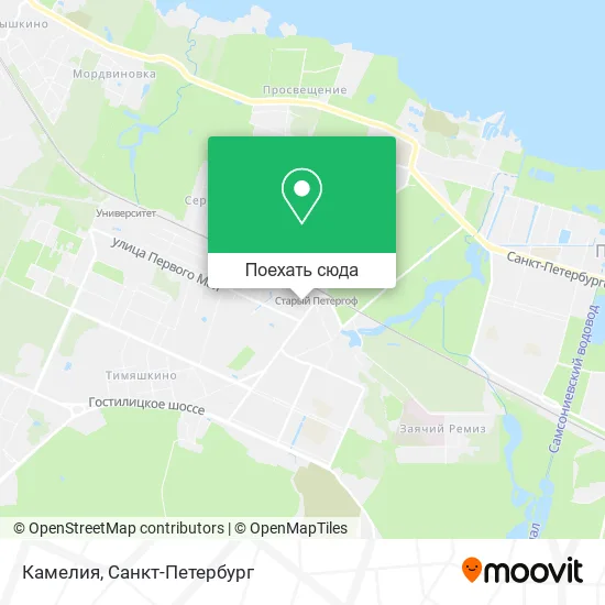 Карта Камелия