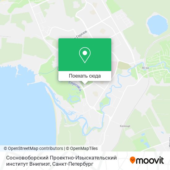 Карта Сосновоборский Проектно-Изыскательский институт Внипиэт
