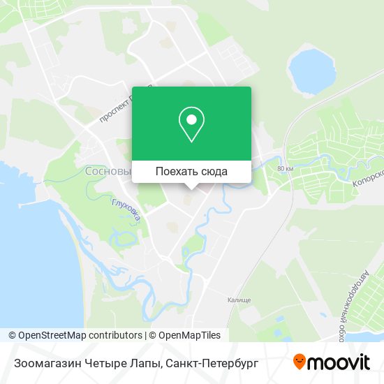 Карта Зоомагазин Четыре Лапы