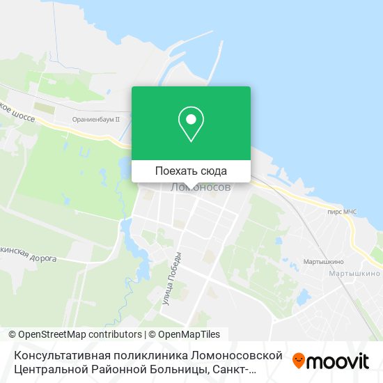 Карта Консультативная поликлиника Ломоносовской Центральной Районной Больницы