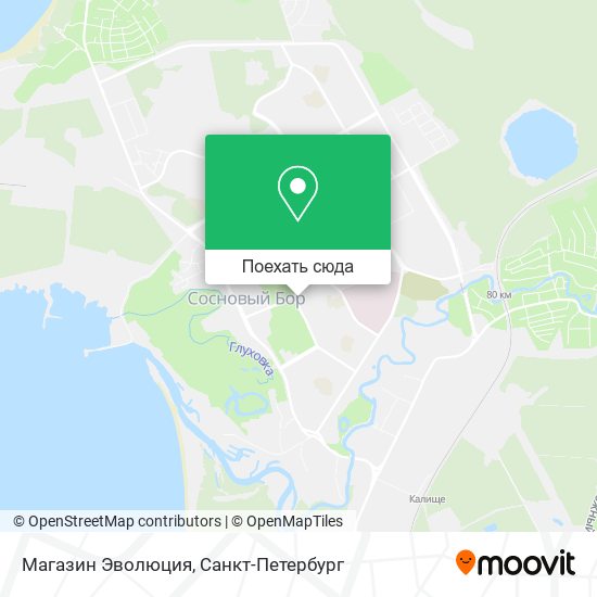 Карта Магазин Эволюция