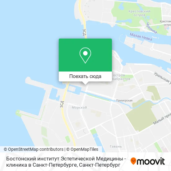 Карта Бостонский институт Эстетической Медицины - клиника в Санкт-Петербурге