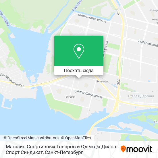 Карта Магазин Спортивных Товаров и Одежды Диана Спорт Синдикат