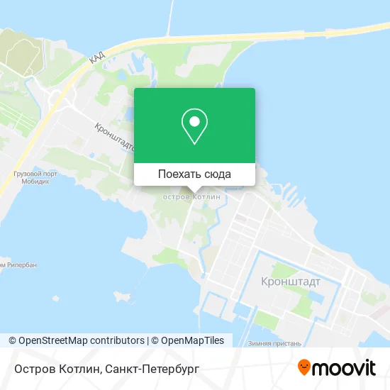 Карта Остров Котлин