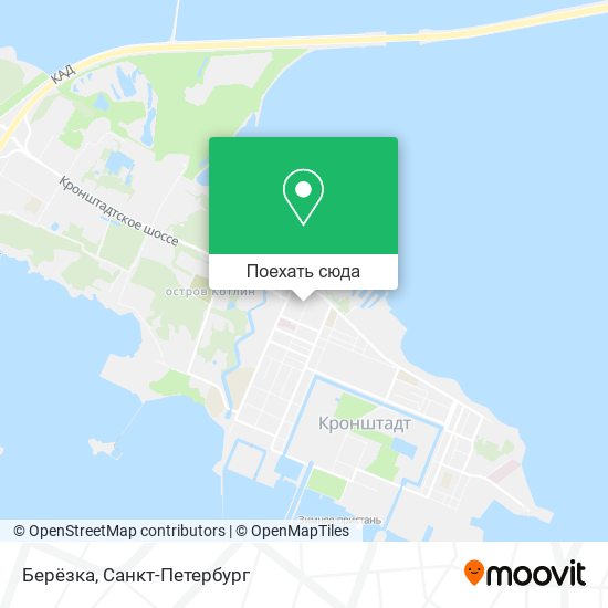 Карта Берёзка
