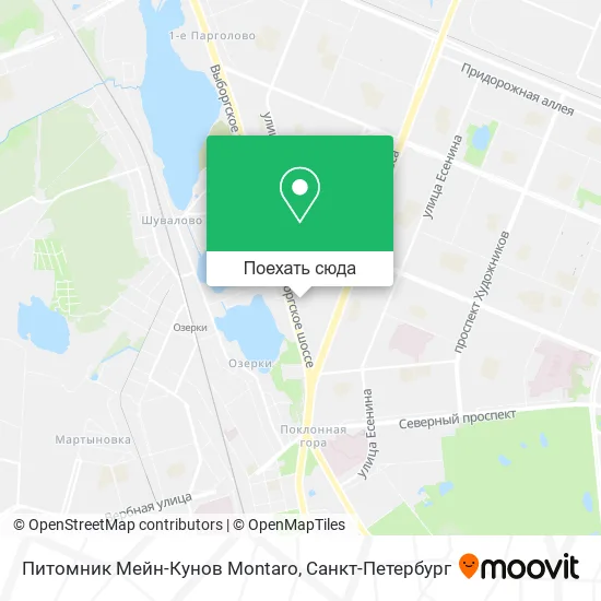 Карта Питомник Мейн-Кунов Montaro