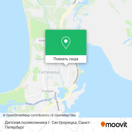 Карта Детская поликлиника г. Сестрорецка