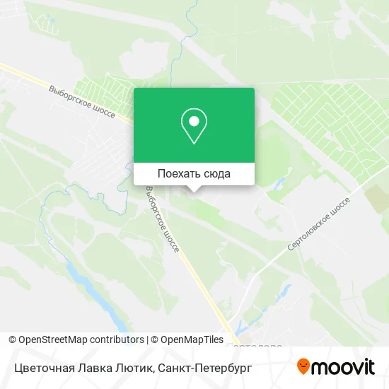 Карта Цветочная Лавка Лютик