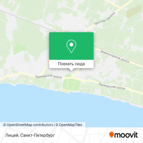 Карта Лицей