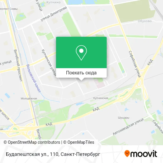 Карта Будапештская ул., 110