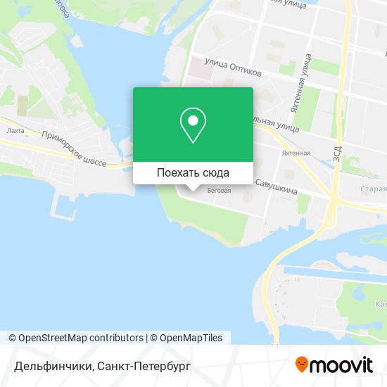 Карта Дельфинчики