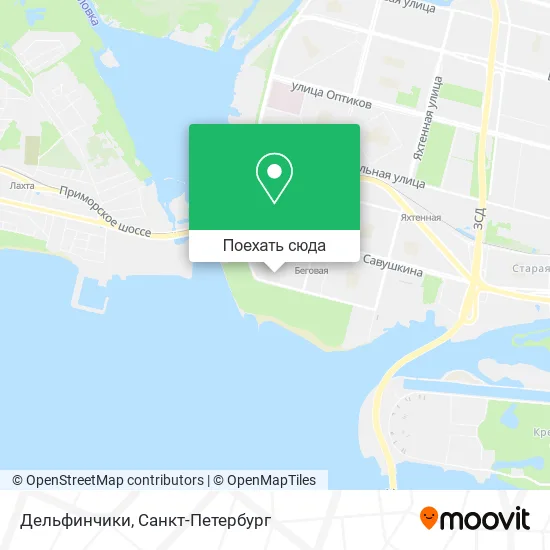 Карта Дельфинчики