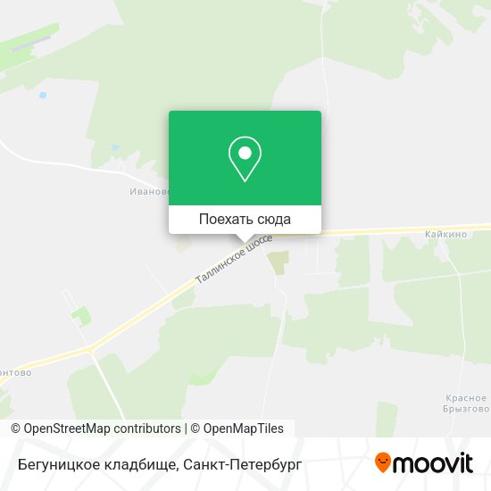 Карта Бегуницкое кладбище