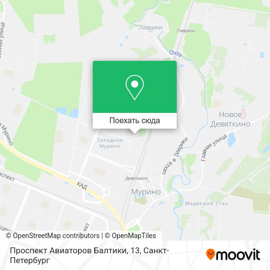 Карта Проспект Авиаторов Балтики, 13