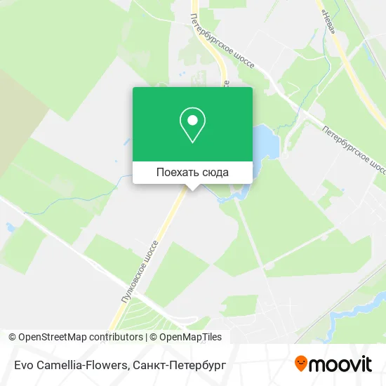 Карта Evo Camellia-Flowers