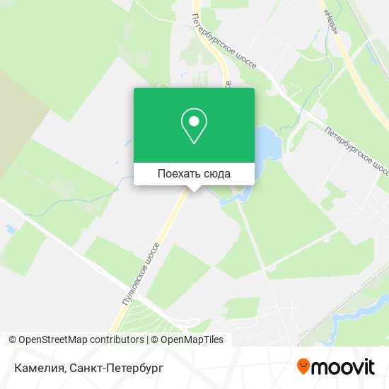 Карта Камелия