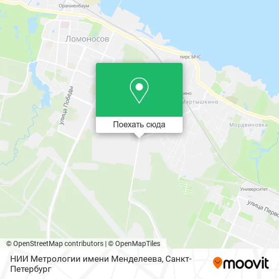 Карта НИИ Метрологии имени Менделеева