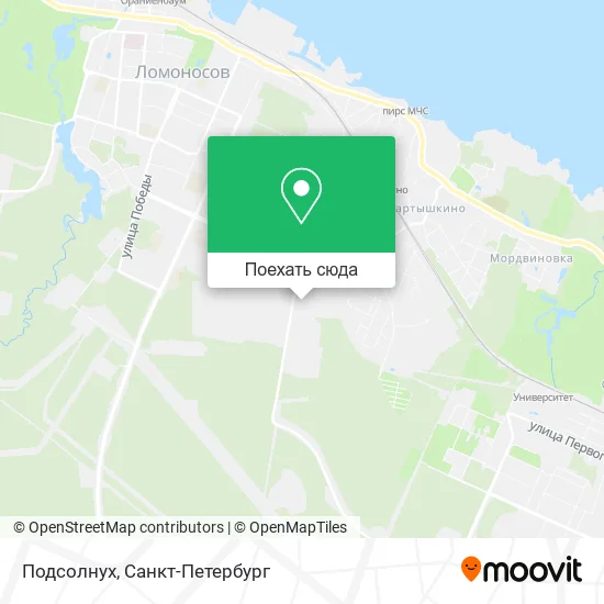 Карта Подсолнух