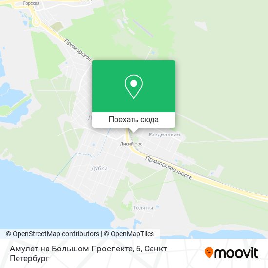 Карта Амулет на Большом Проспекте, 5