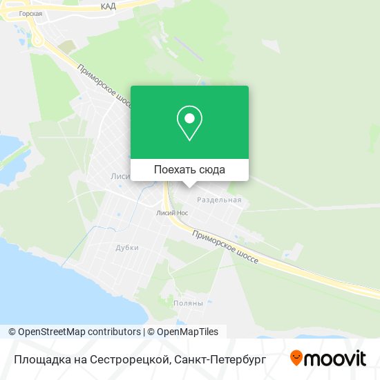Карта Площадка на Сестрорецкой