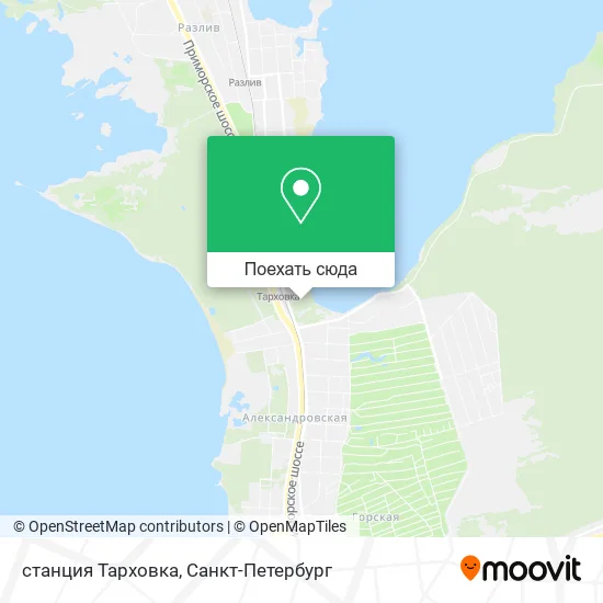 Карта станция Тарховка