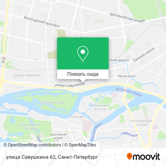 Карта улица Савушкина 62