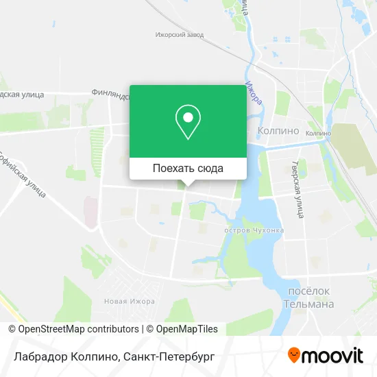 Карта Лабрадор Колпино