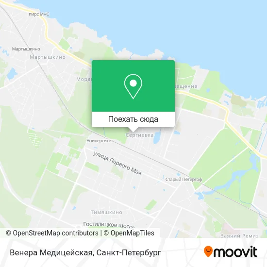 Карта Венера Медицейская