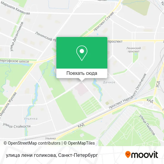 Карта улица лени голикова