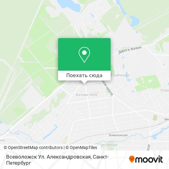 Карта Всеволожск Ул. Александровская