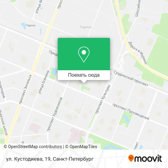 Карта ул. Кустодиева, 19