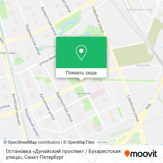 Карта Остановка «Дунайский проспект / Бухарестская улица»