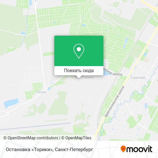 Карта Остановка «Торики»